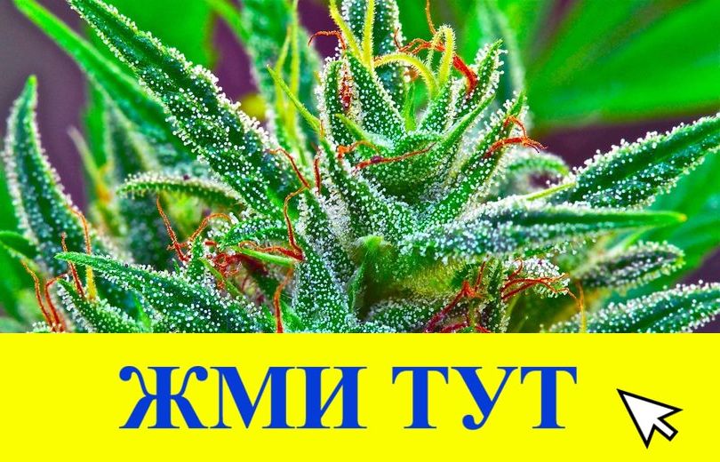 Купить наркотики в Темрюке